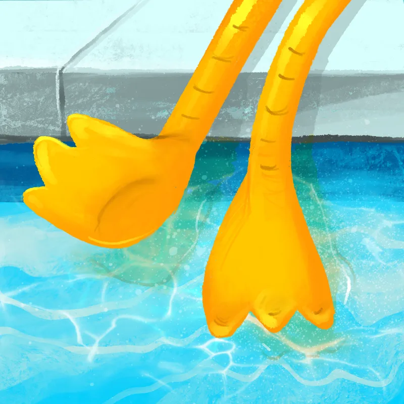 Duck Feet